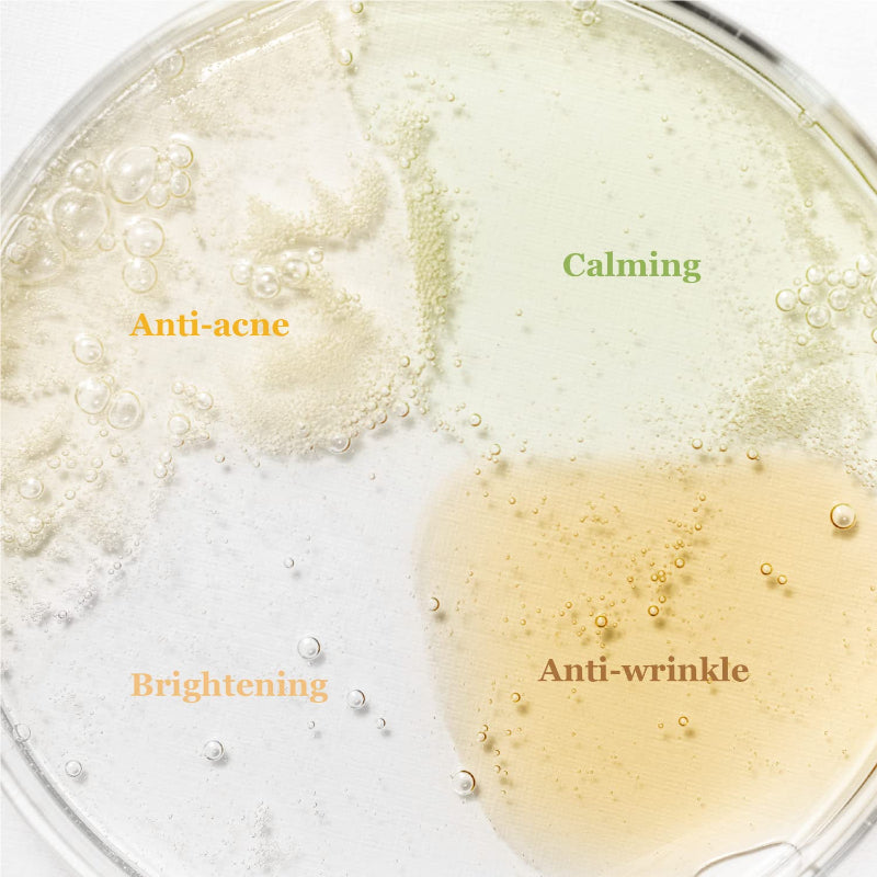 Hanbang Serum Discovery Kit | Beauty of Joseon