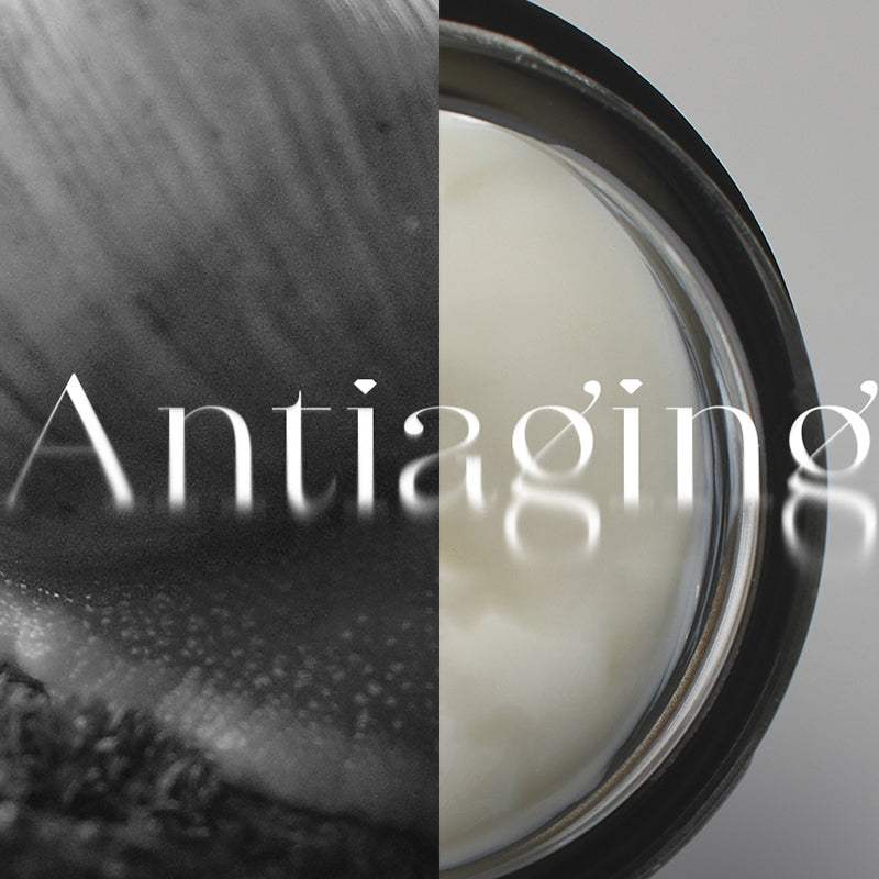 Black Snail All In One Cream | Mizon